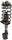 Quick-Strut 171593 Strut and Coil Spring Assembly