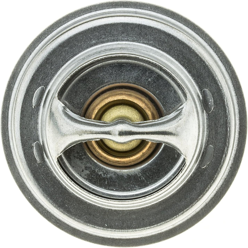 273-167 Thermostat