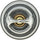 273-167 Thermostat