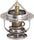 48469 Engine Coolant Thermostat