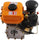 196CC Diesel Engine 2.2KW Single Cylinder Diesel Motor 3000 RPM Air Cooling Vertical Engine Manual Start for Agricultural Production (Orange)