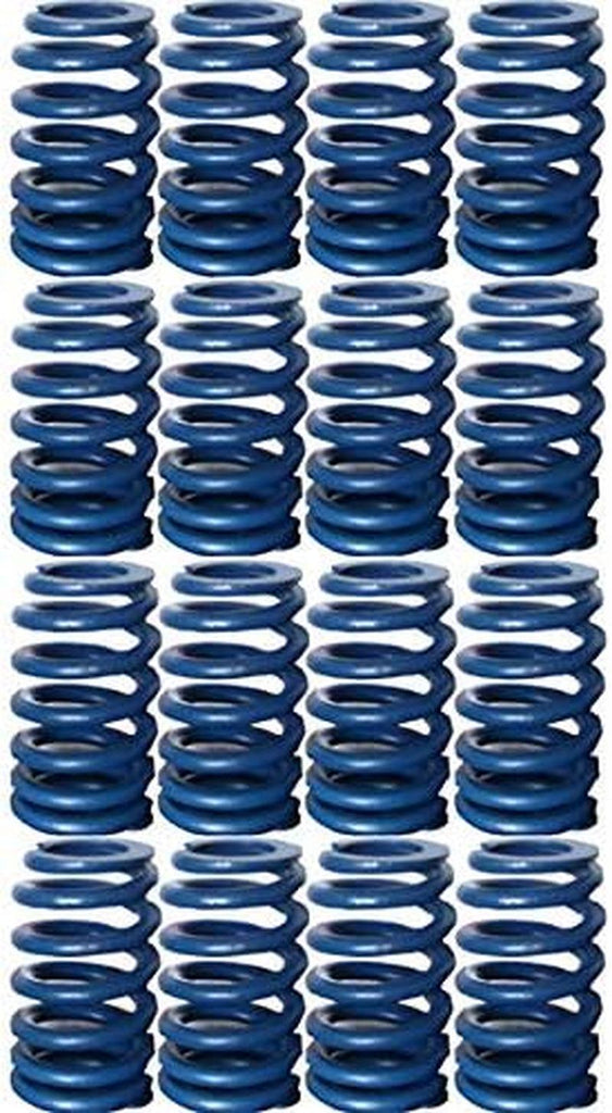 GM Parts 12499224 Valve Spring for LS1 Engine
