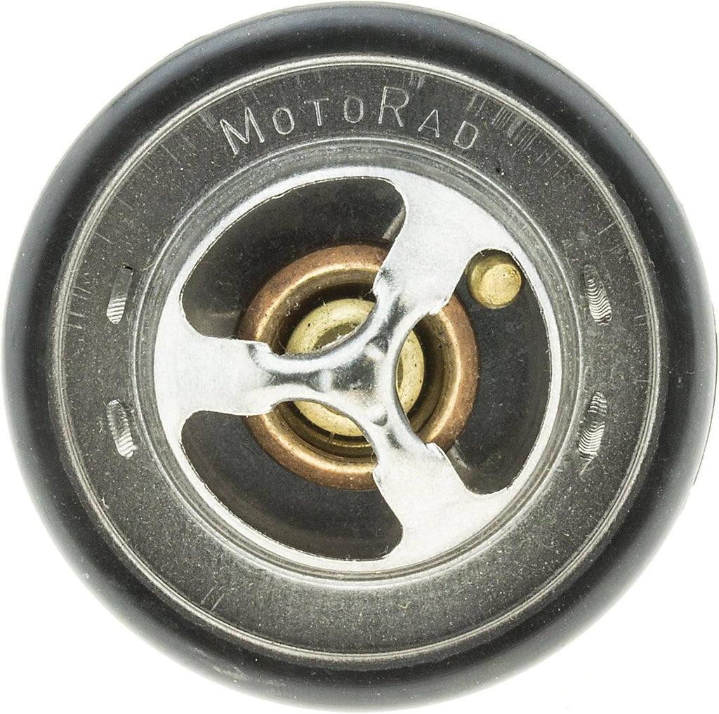 299-170 Thermostat with Seal