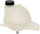 Dorman 603-844 Engine Coolant Reservoir for Select Ford Models