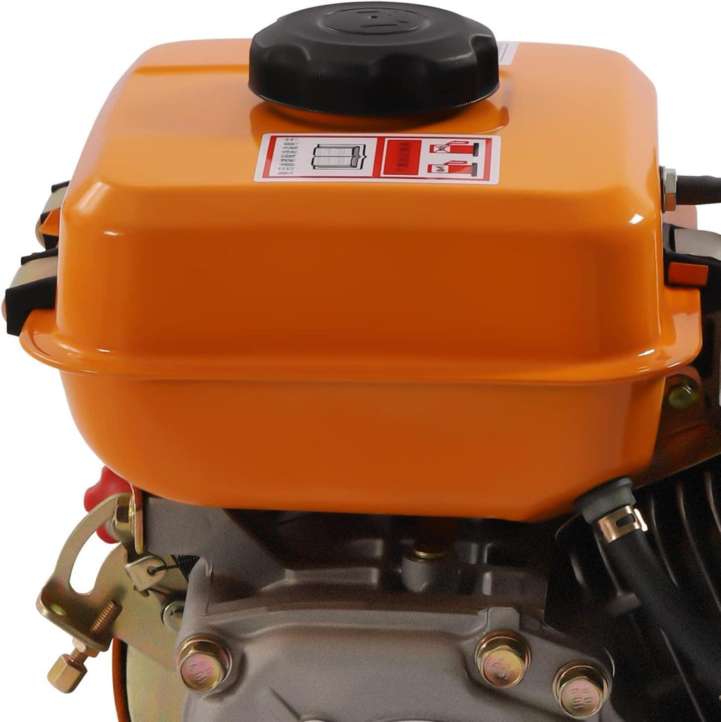 196CC Diesel Engine 2.2KW Single Cylinder Diesel Motor 3000 RPM Air Cooling Vertical Engine Manual Start for Agricultural Production (Orange)