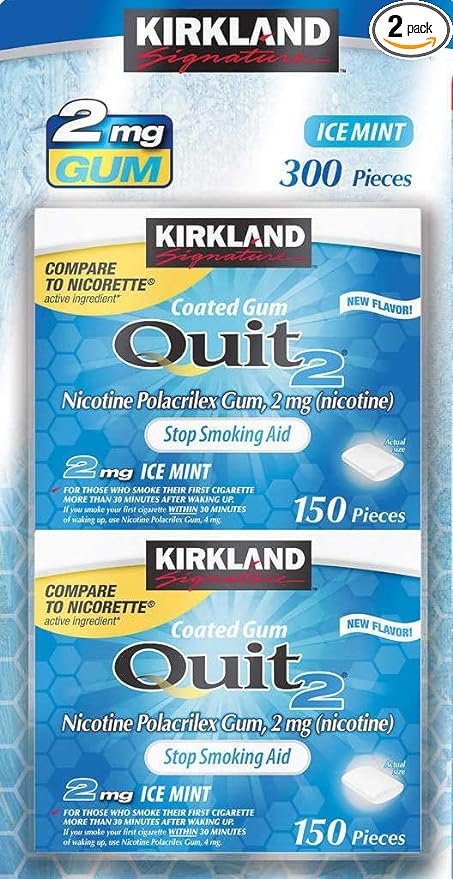 Kirkland Signature Quit Ice Mint Gum 2mg, 300 Pieces
