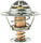 242-160 Thermostat