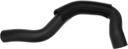 Gold 24342L Molded Lower Radiator Hose