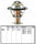 243-195 Thermostat