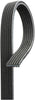 Gold 6DK519 Dual Sided V-Ribbed Serpentine Belt