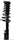 Monroe 282385 Suspension Strut and Coil Spring Assembly