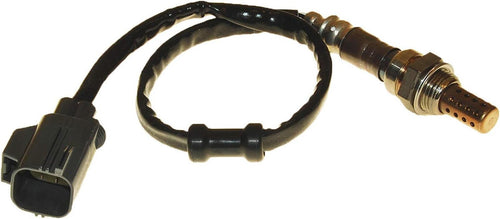 250-24455 4-Wire Oxygen Sensor