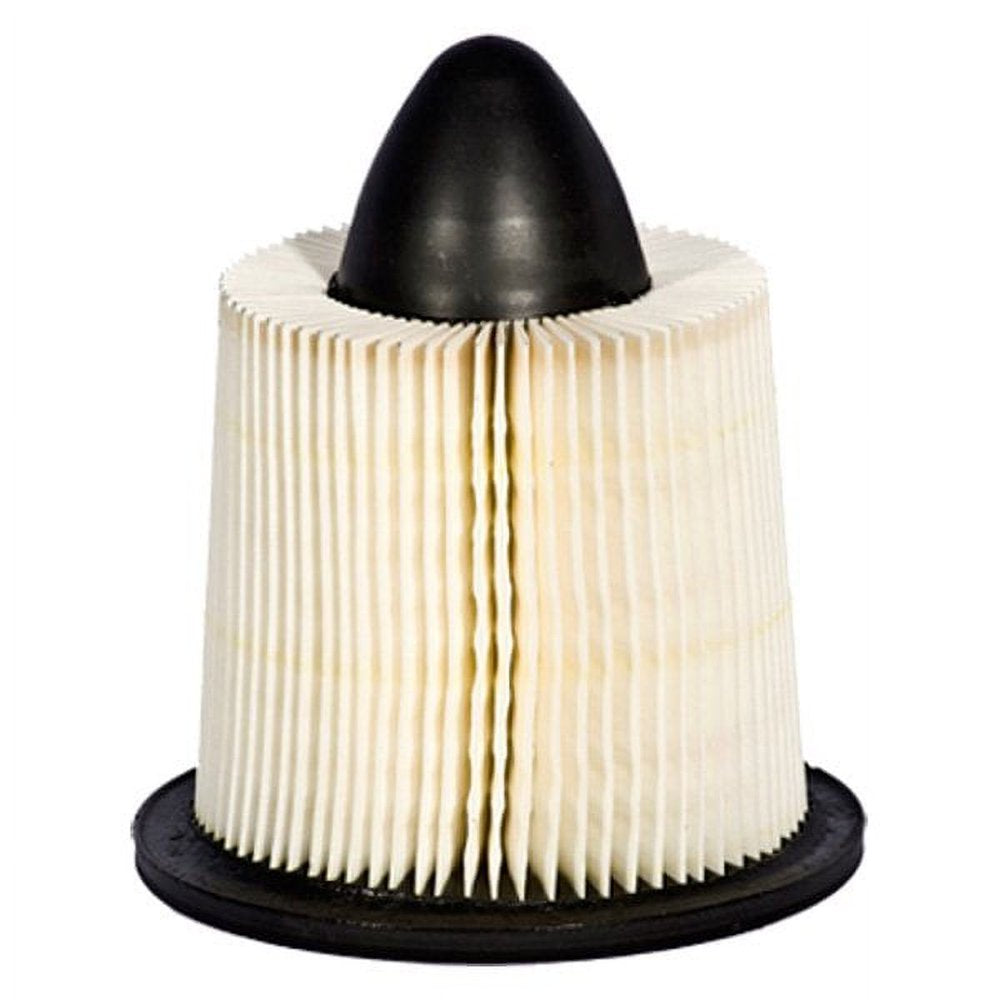 Original Equipment Engine Air Filter: Standard Duty, Manufactured to Meet Ford'S Standards