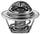 204-195 Engine Coolant Thermostat