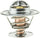 234-174 Thermostat