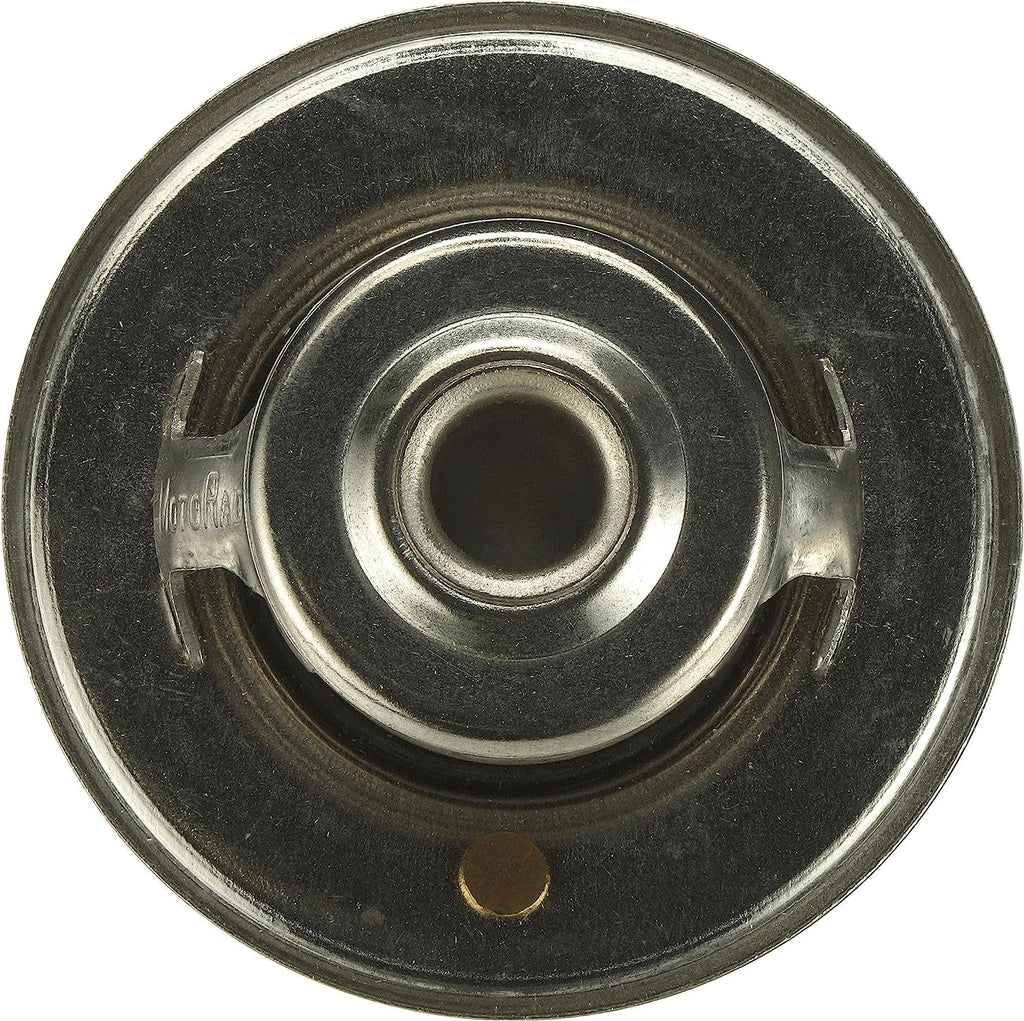 33469S Premium Thermostat