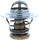 1121-192: Engine Coolant Thermostat