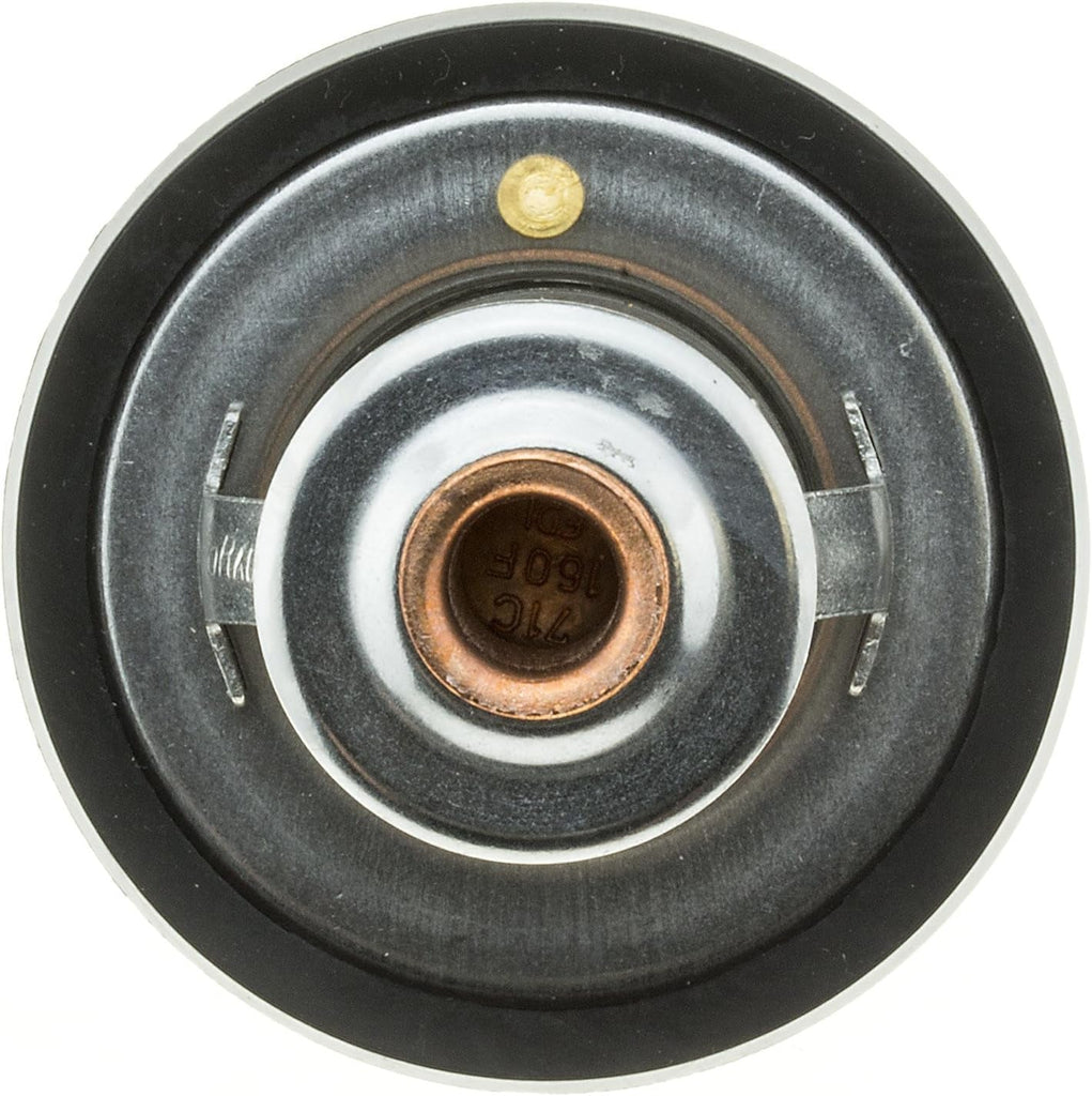 265-160 Thermostat with Seal, Silver