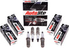 Autolite APP5263 Double Platinum Automotive Replacement Spark Plugs (4 Pack)