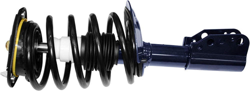 Roadmatic 181685 Strut and Coil Spring Assembly