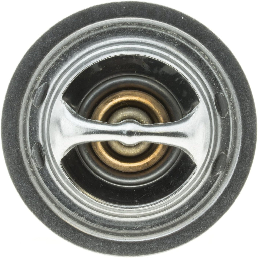 268-192 Thermostat