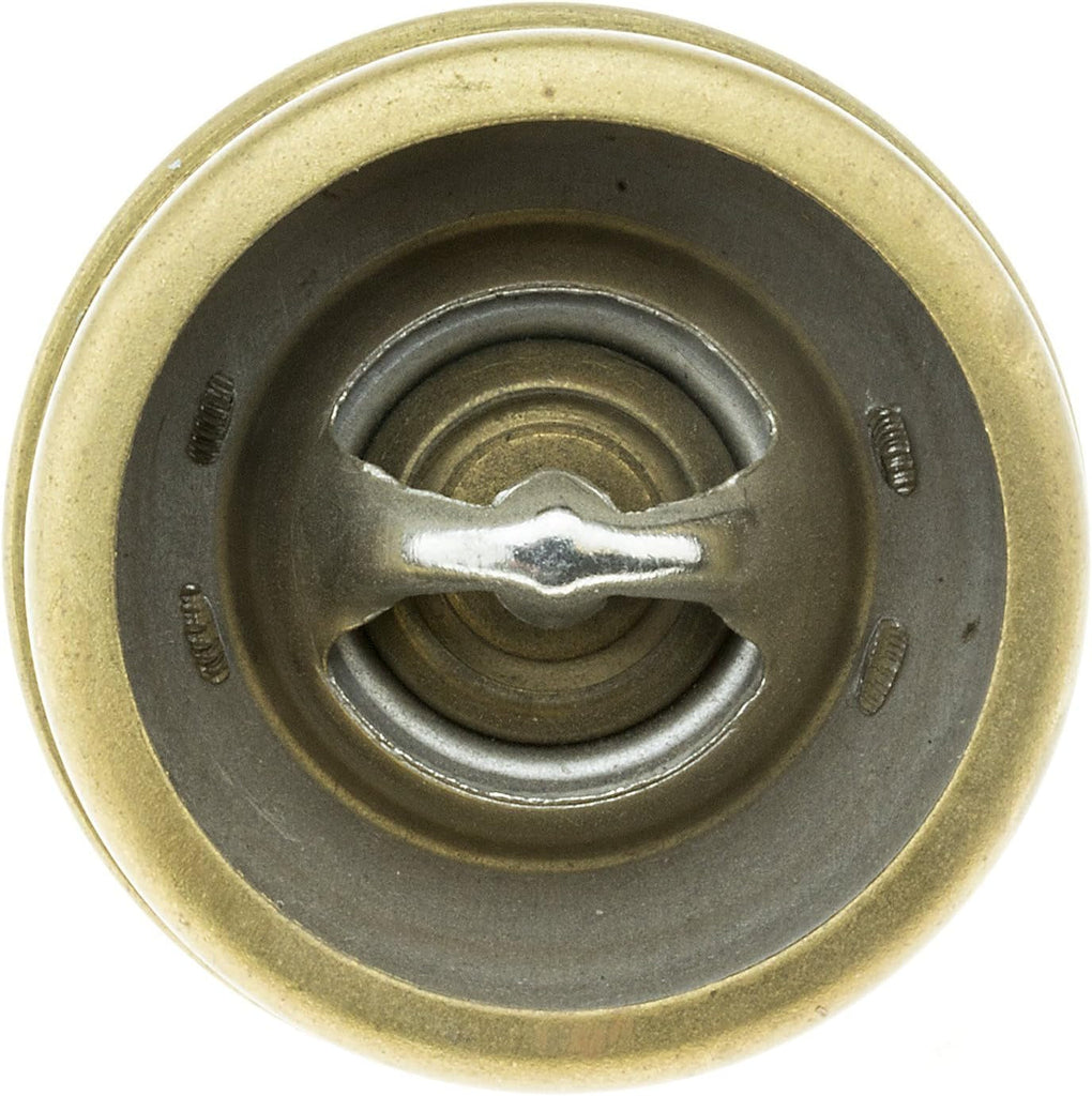 238-170 Thermostat