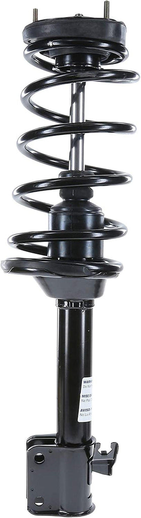 182446 Suspension Strut and Coil Spring Assembly