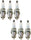 OEM NGK Set of 6 Spark Plugs for Audi A6 Quattro S5 S6 S8 Q7 VW Touareg