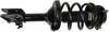 182679 Suspension Strut and Coil Spring Assembly