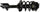 182679 Suspension Strut and Coil Spring Assembly