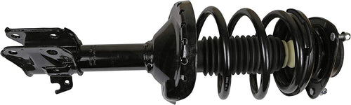 182679 Suspension Strut and Coil Spring Assembly