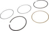 12524205 Engine Piston Ring Kit