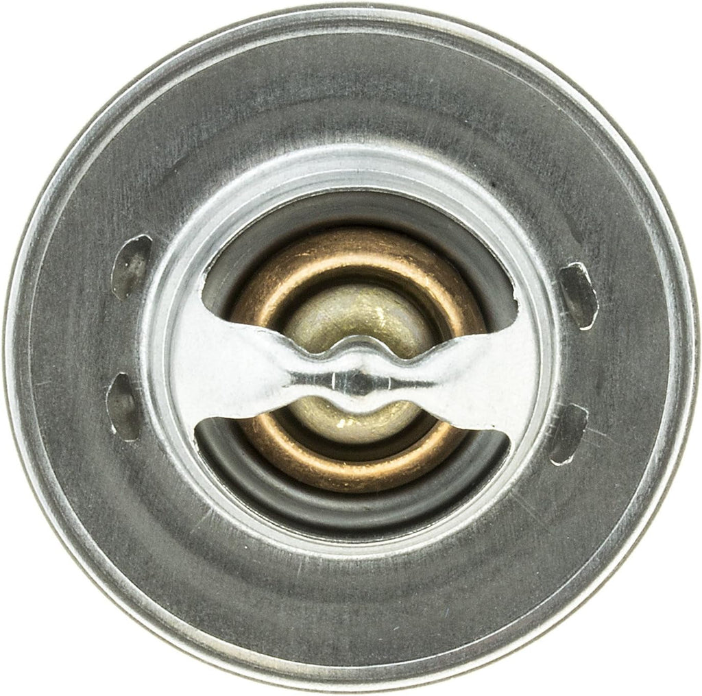 233-192 Thermostat