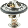 299-170 Thermostat with Seal