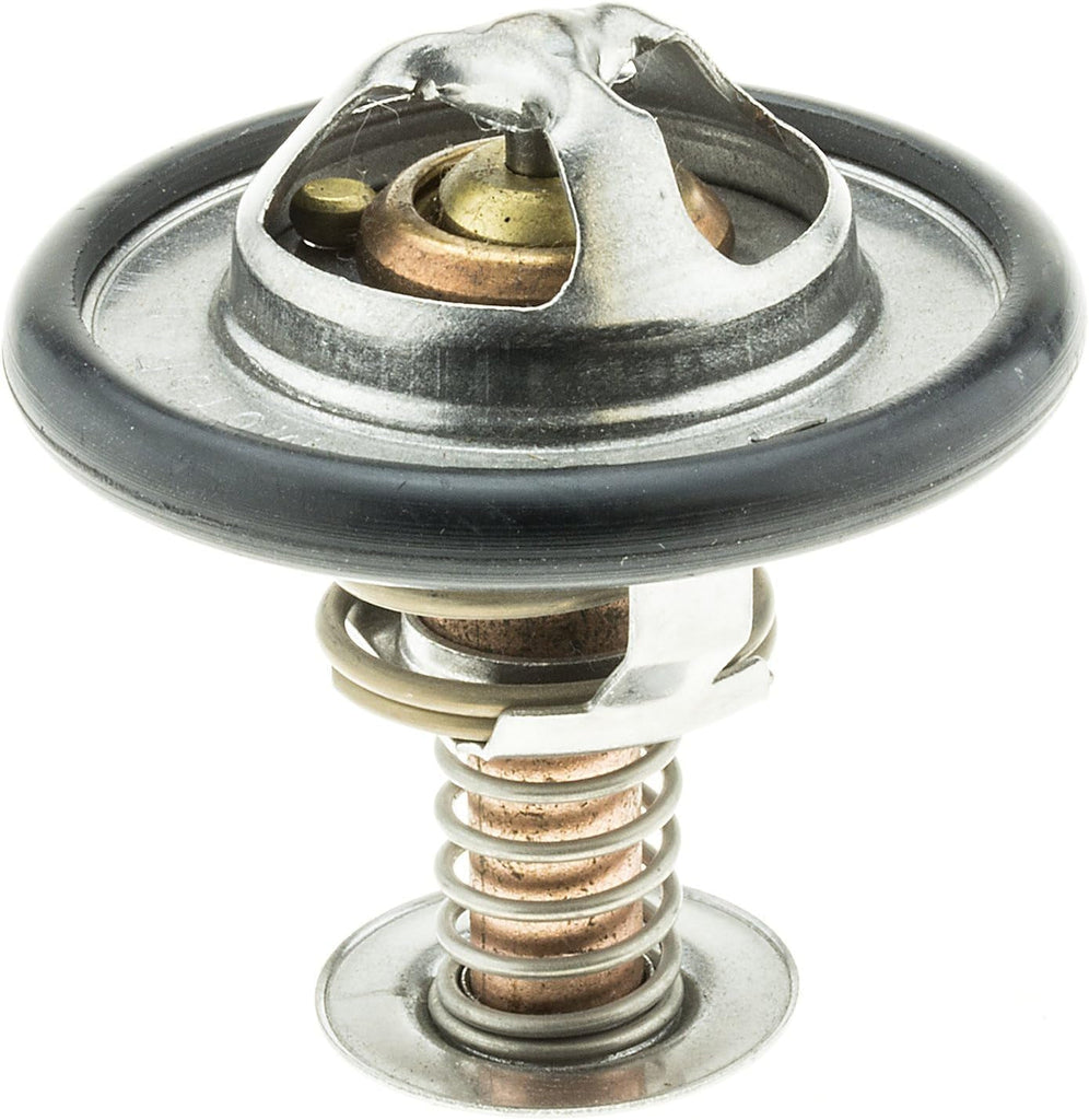 299-170 Thermostat with Seal