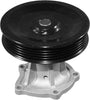 Professional 252-1036 Engine Water Pump