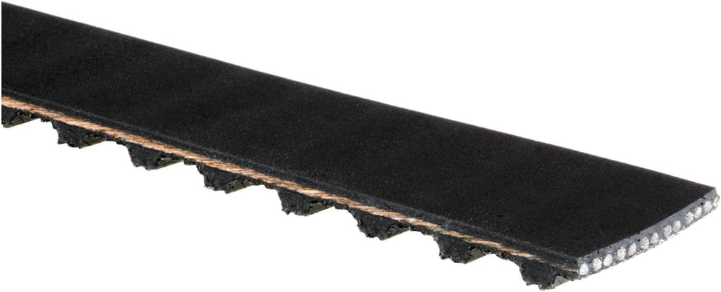 Gold TB122 Timing Belt