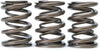 311-05-1350 Tuner Series Valve Spring Set