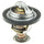 Engine Coolant Thermostat for Equinox, Torrent, Rendezvous+Mor