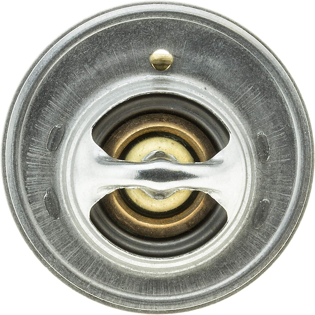 33489 Thermostat