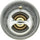 33489 Thermostat