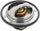 923-192: Engine Coolant Thermostat