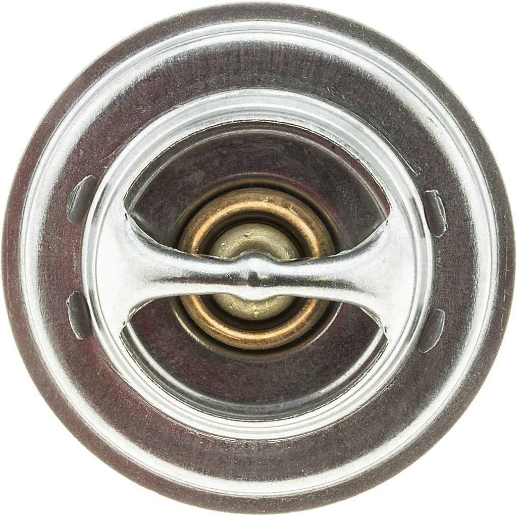 304-198 Thermostat