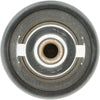 299-170 Thermostat with Seal
