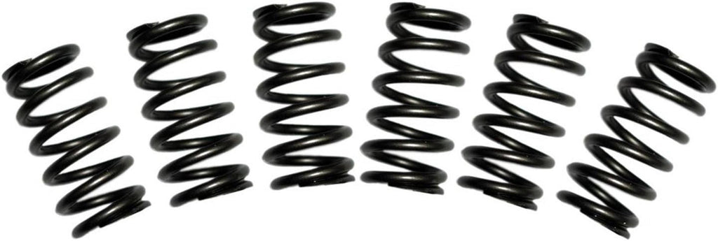 1030060 Valve Spring Kit