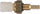 TS10288 Engine Coolant Temperature Sensor, 1 Pack