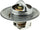 241-170 Thermostat