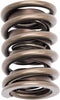 5845 Valve Spring