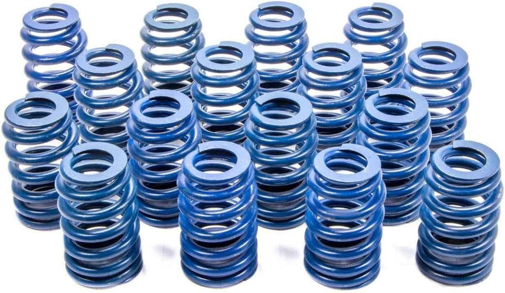 GM Parts 12499224 Valve Spring for LS1 Engine