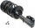 Professional 903-004RS Ready Strut Premium Gas Charged Front Suspension Strut and Coil Spring Assembly